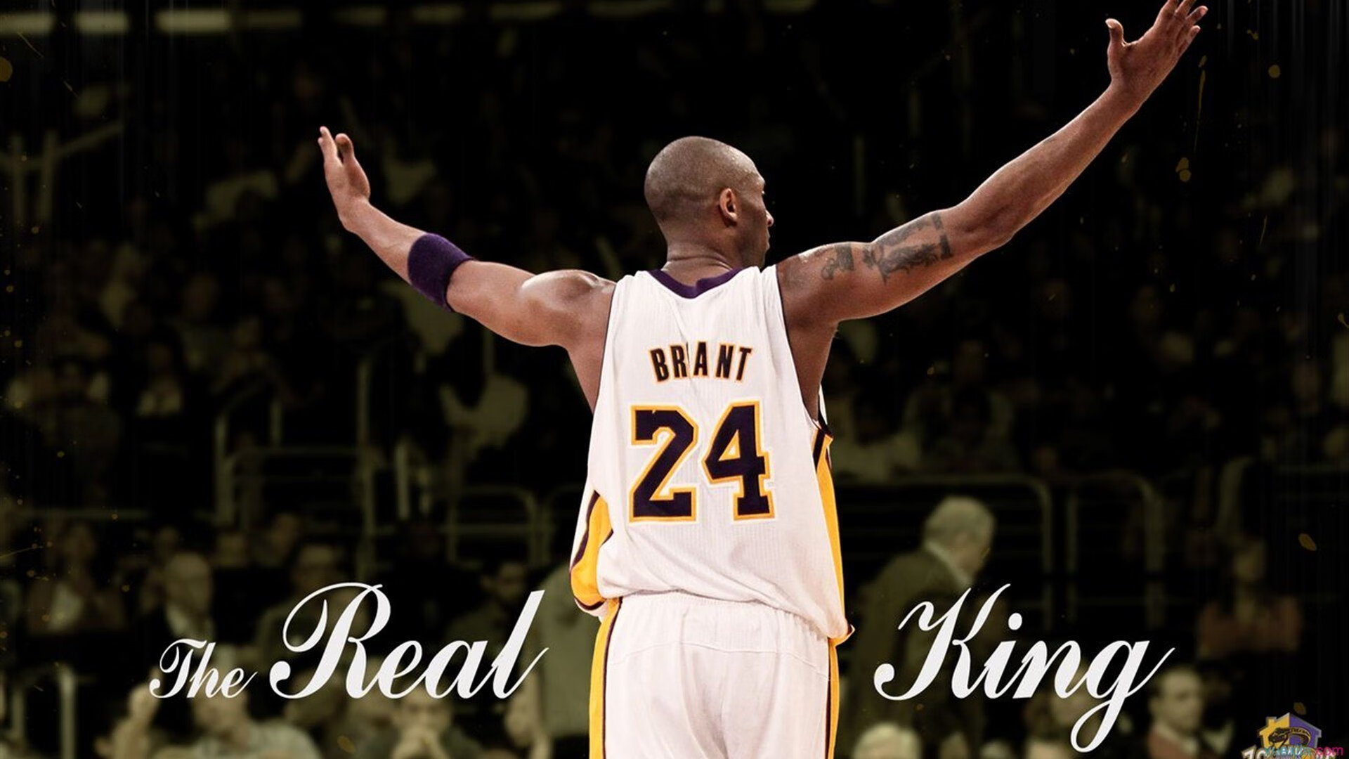 “费尔南多·比亚尔巴的传球与精准脚法,成为美洲狮队的得分保障”