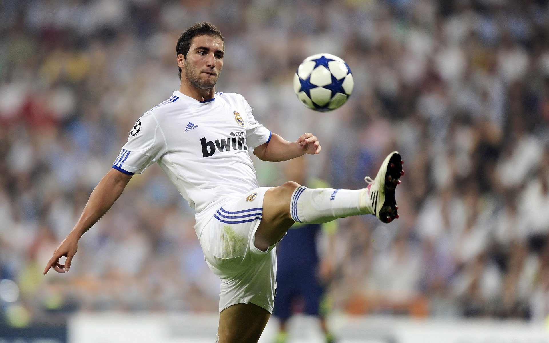 世界杯备战：日本队开放训练吸引大量当地球迷 现场教学礼仪体操